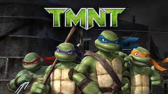 Teenage Mutant Ninja Turtles (2007)