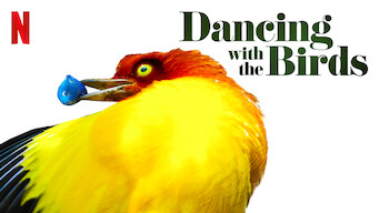 Dancing with the Birds (2019)